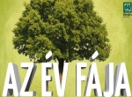 ev_faja_logo_jo