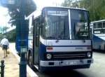 64-es