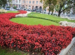 viragos_magyarorszag_fodij