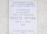 fekete_nyito.jpg